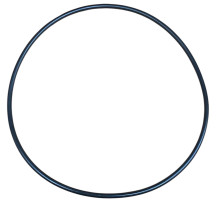 Кольцо (резиновое) корпуса насоса JET/JY1000