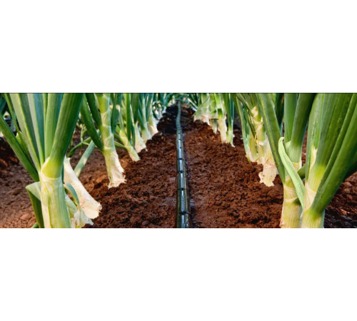 Шланг (лента) капельного полива диам.16 мм DT0116152015